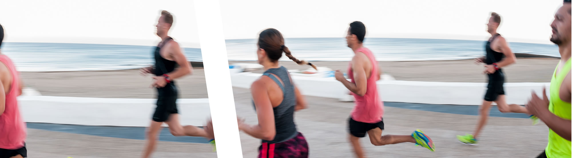 Planes de paleotraining